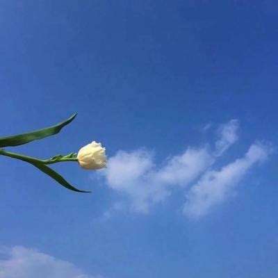 龙腾仙迹手机版(暂未上线)v1.0.6 安卓版