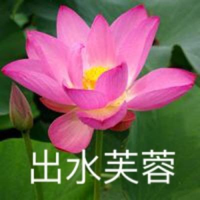 空之轨迹游戏下载